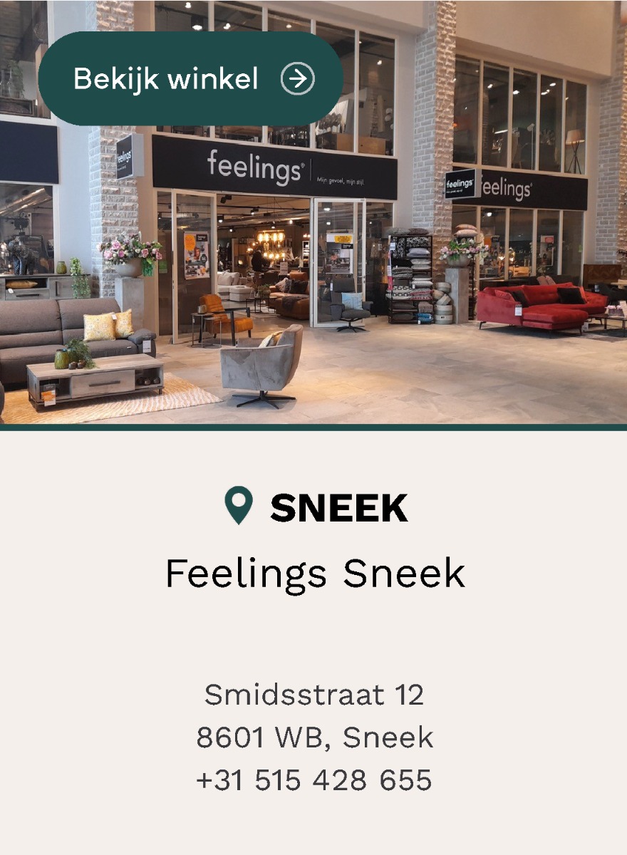 Feelings Sneek